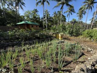Shanti Farm Bamboo Cabin - Panglao - 4
