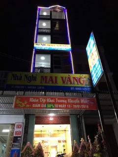 Mai Vàng - Namban - 4