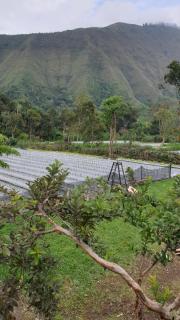 Datu Villa Sembalun - Sembalun Lawang - 5