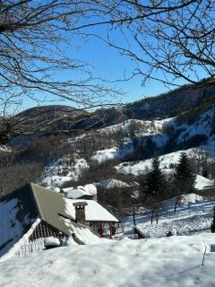 Florija’s Guesthouse - Dardhë - 8