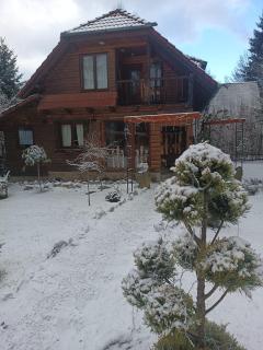 Coliba Padurarului -  - 9