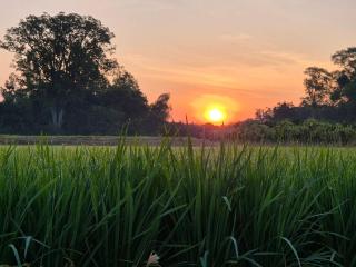บ้านแม่อุทัยธานี Baanmae Uthaithani - 9