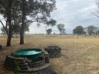 5 Star Off Grid Farm Retreat - Stockinbingal - 5