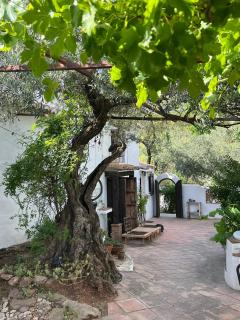 Finca Maran Moorish style with rooftop and pool - Comares - 8