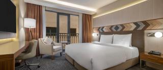 Mercure Ankara Kızılay - 2