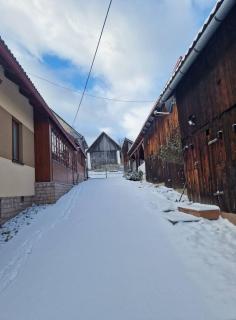 Dubáčik Dovalovo - 9