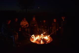 DE MEIBOOM vakantiehoeve tot 21 pers - Langemark - 7