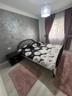 Borșa ApartHotel 4 - Borşa - 6