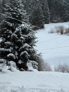 Gästehaus Absbachtal - Bad Rippoldsau-Schapbach - 2