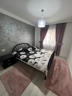 Borșa ApartHotel 4 - Borşa - 7