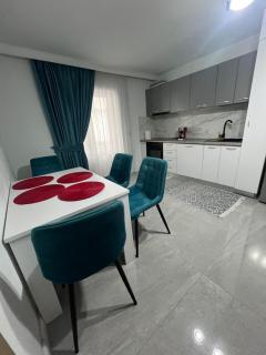 Borșa ApartHotel 4 - Borşa - 8