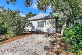 The Brown Pelican - Inlet Beach - 5