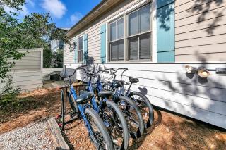 The Brown Pelican - Inlet Beach - 4