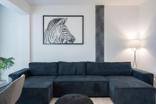 AeroPrime - LOFT - Tunari - 0