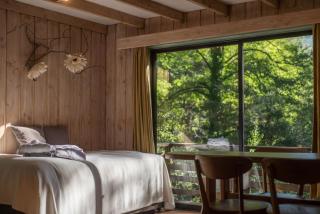 Hotel y Termas Huife - Termas De Huife - 7