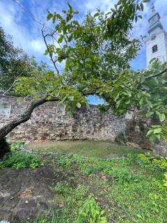 Secret Garden - Titkos Kert Köveskál - 9