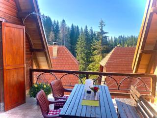 Apartman Zlatarske Čari - Nova Varoš - 8