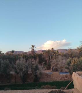 Riyad Des Bedouins - 6