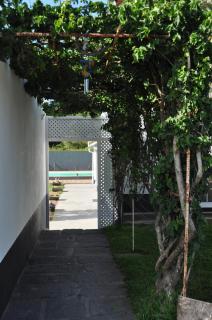Quinta da Fonte - Alojamento Local - Senhora dos Aflitos - 3