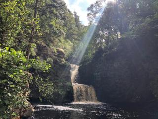 Luxury Speyside Hideaway, Dog Friendly, Malt Whisky Trail, Village Green - 7