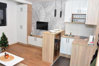 Apartment ESCAPE - Vrnjačka Banja - 2