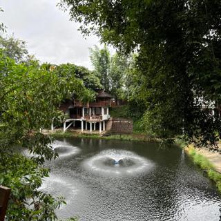Ha Rem Chiang Mai - ฮาเร็ม เชียงใหม่ - 6