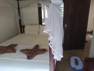 Kingly Care Rooms & Ayurvedic Spa Mirissa - 1