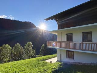 Chalet 6 pièces neuf, 12 pers, 3 sdb, parking, terrasse, proche remontées - FR-1-676-193 - Châtel - 8