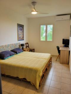 Le Mabuya de Crystal Beach - Sèze - 5