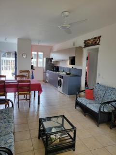 Le Mabuya de Crystal Beach - Sèze - 9