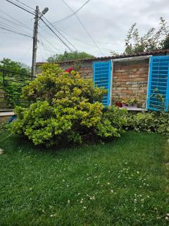 Casa Maia - Eforie Sud - 9