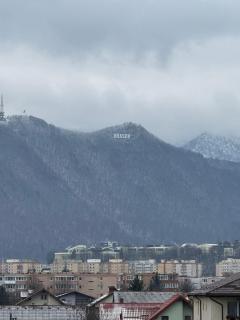 Luxury Glam Apartments Coresi Mall Area - 3