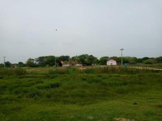 House of Freedom - 3