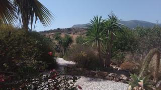 Casita Blanco - 1