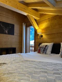 La Rose des neiges à Châtel - 3