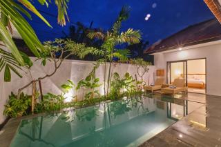 Exciting 2 BR New Villa Rental Ubud - Ubud - 9