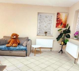 SJ Apartment - Chemnitz - 5