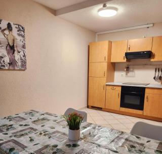 SJ Apartment - Chemnitz - 4