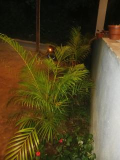 Coorg Sunway home stay - Madikeri - 5