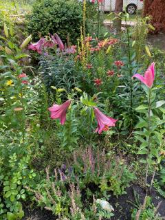 Świerkowe Ranczo Raciszewo - 7