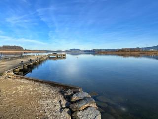 "LIEBLINGSPLATZ" - Premium Apartments Seekirchen, elegant, countryside, shared Poolarea - Seekirchen am Wallersee - 9