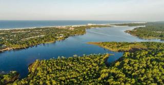 22811 Ann Miller - Saltwater Solace home - Panama City Beach - 8