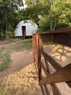 ALF Dome Peacefull between forest and sea - Sauce de Portezuelo - 0