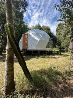 ALF Dome Peacefull between forest and sea - Sauce de Portezuelo - 2