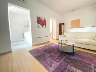 City center salon-style apartment free parking - Belgrado - 4