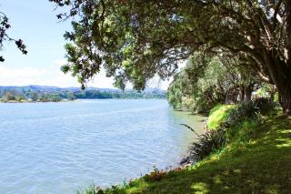 Graceful Character Cottage In The Leafy Avenues - Tauranga - 1