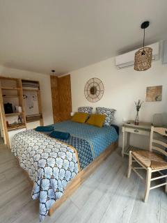 chambre d hôtes 2 personnes jacuzzi privé proche cité médiévale - Carcassonne - 1