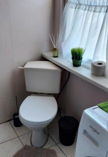 Ciemos pie Ingas - 3