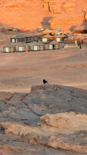 Harir Rum luxury camp - 3