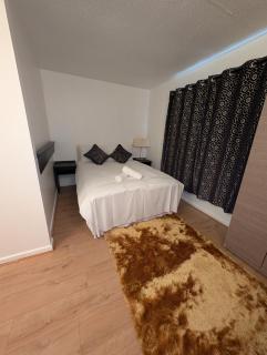 Bow Room Near Abba Studio and Stratford Olympic - Londra - 6